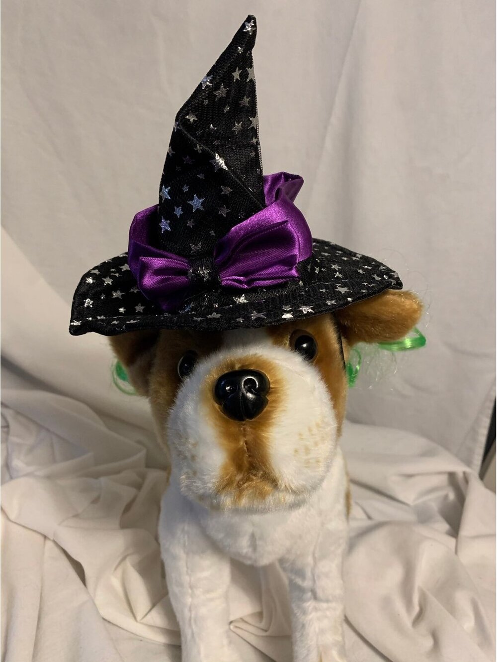 Dog Witch's Hat and Wig Halloween Costume